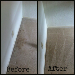 Wall 2 Wall Carpet Cleaning before and after San Carlos